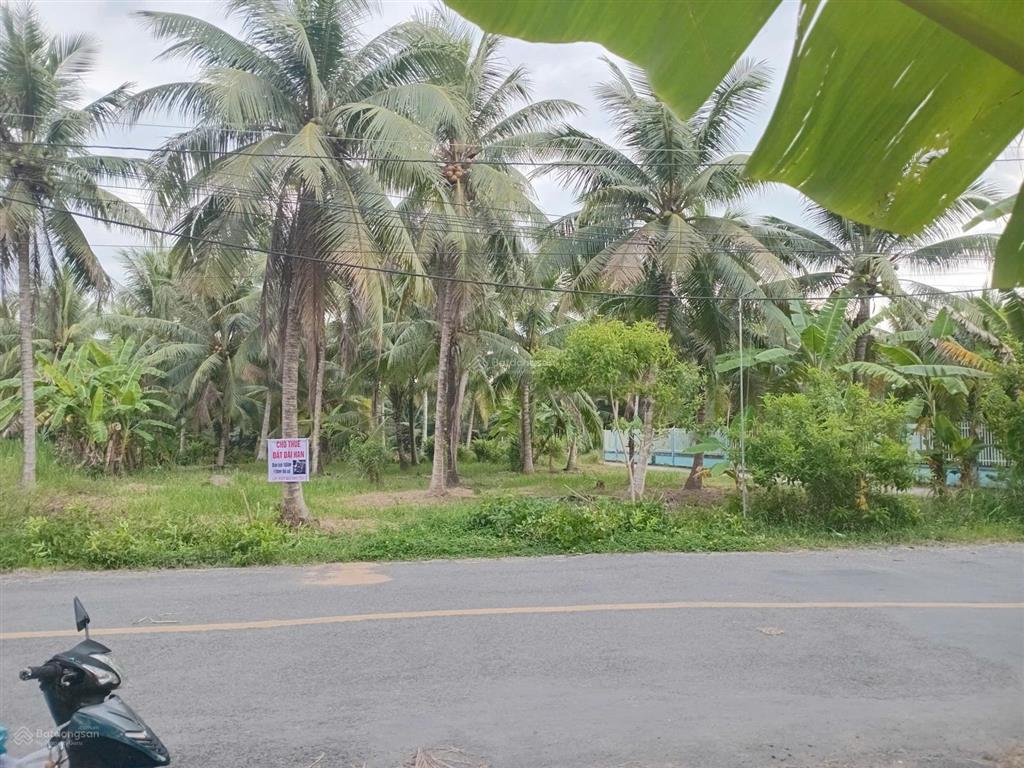 Cho thuê đất dài hạn 25 triệu/ năm lấy 1 lần