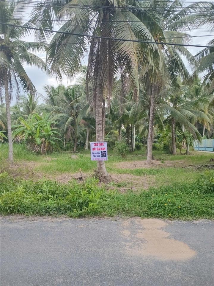 Cho thuê đất dài hạn 25 triệu/ năm lấy 1 lần