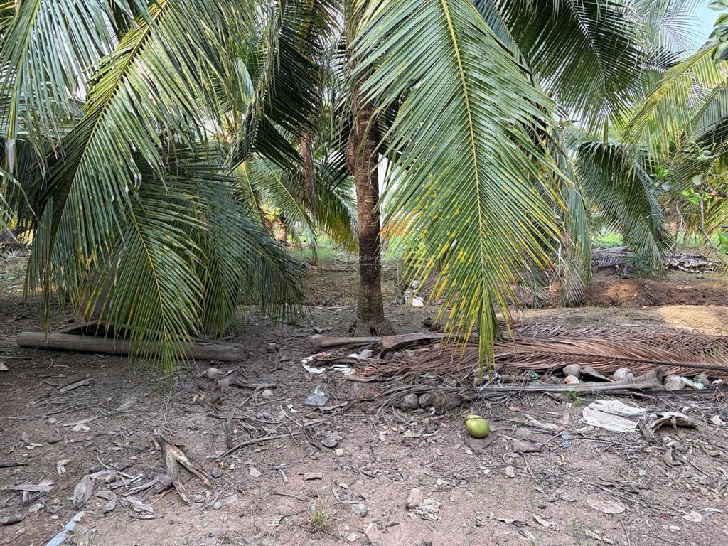 Cho thuê nhà mặt bằng kinh doanh, kiot, kho bải, nhà đất