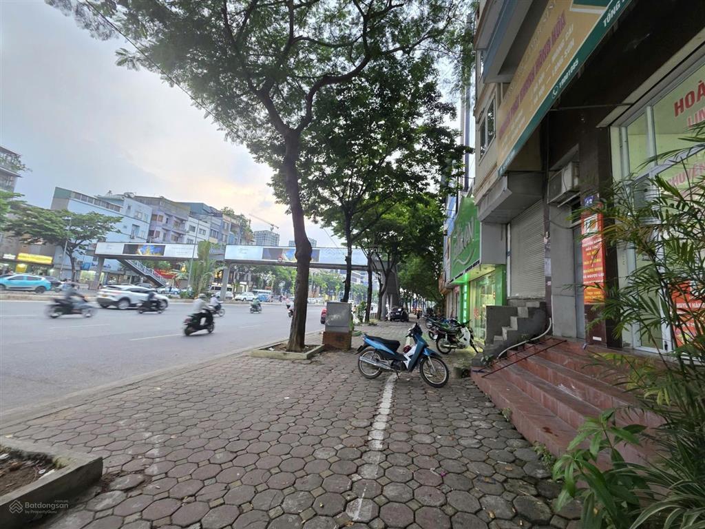 Mặt phố hoàng quốc việt  bán tòa nhà văn phòng 350m2 mặt tiền 15m giá 290 tỷ