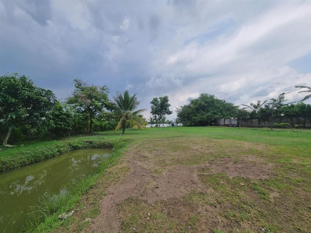[O2718*] Đất vàng mặt tiền Đường Số 5 Long Phước đối diện Nhà thờ Tổ - View sông 6x tỷ!