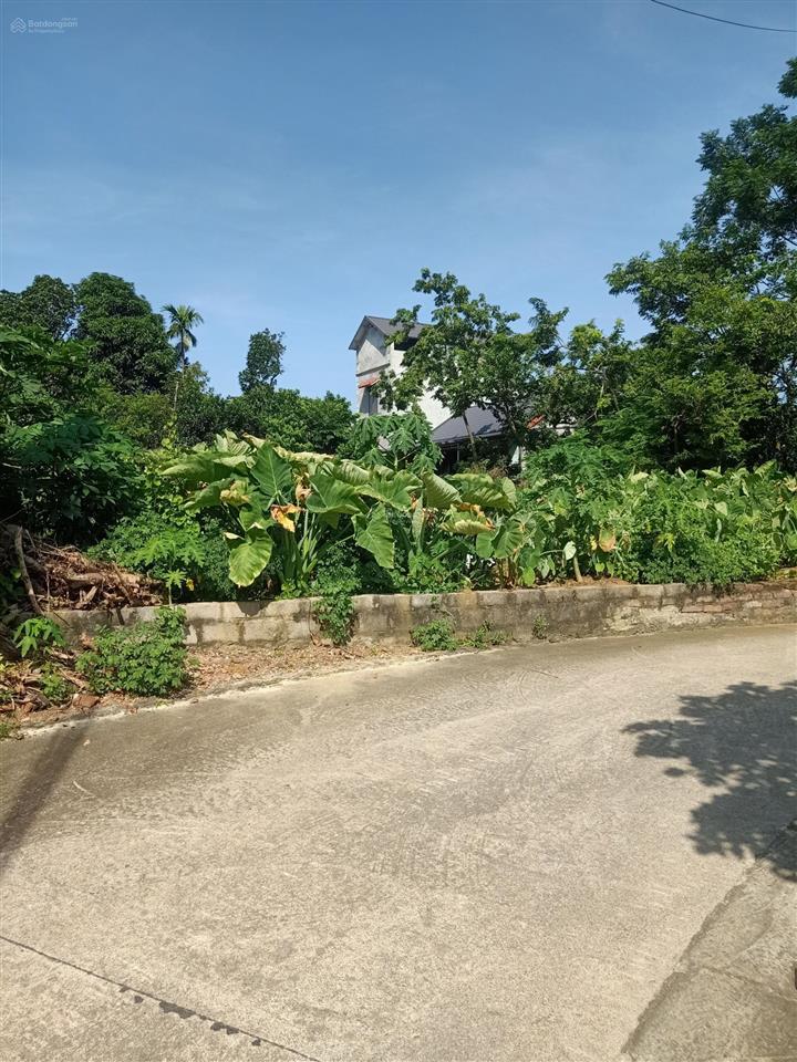 Siêu phẩm nghỉ dưỡng phân lô đẳng cấp view hồ  mặt tiền khủng phú cát hà nội 480m2 tc 180m2 mt 17m