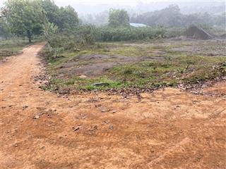 Hàng hiếm kho xưởng lô góc mặt tiền khủng 31m,dt1.440m,giá chỉ 7tr/m hòa thạch phú cát hn