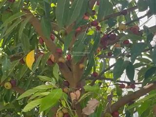 Nhà mới full nội thất gần đh marketing  quận 7 .