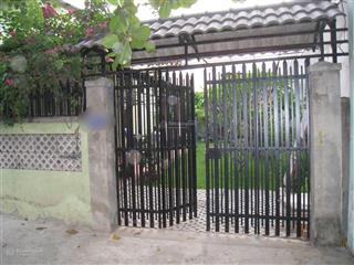 Nhà vườn giữa lòng trung tâm quận 7