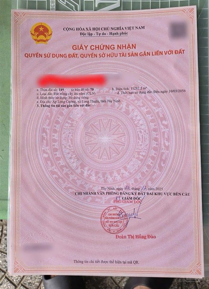 Bán đất cao su hơn 1,1 ha gần vinamilk resort tây ninh