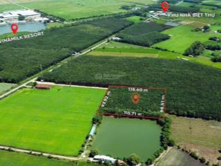 Bán đất cao su hơn 1,1 ha gần vinamilk resort tây ninh
