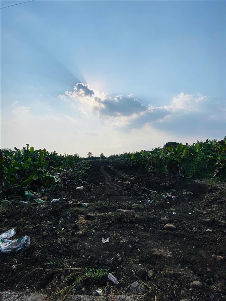 Bán đất vườn tại tphcm với 1014m2, giá chỉ 720 triệu