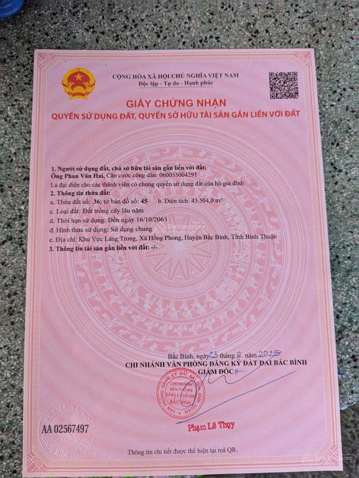 Bán 14,7ha đất hồng phong, bắc bình, bình thuận, giá chỉ 1,2 tỷ/ha
