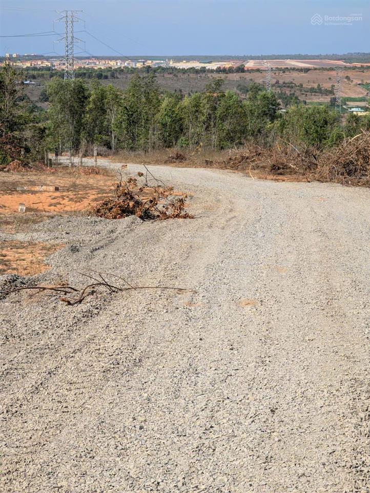 Bán 14,7ha đất hồng phong, bắc bình, bình thuận, giá chỉ 1,2 tỷ/ha