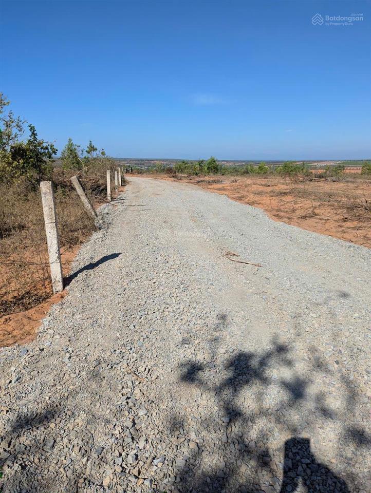 Bán 14,7ha đất hồng phong, bắc bình, bình thuận, giá chỉ 1,2 tỷ/ha