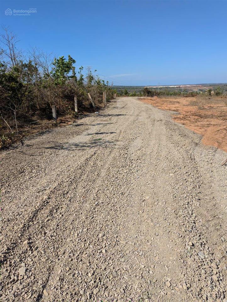 Bán 14,7ha đất hồng phong, bắc bình, bình thuận, giá chỉ 1,2 tỷ/ha