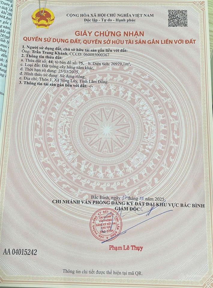 Bán đất thôn 1, xã sông lũy, tỉnh lâm đồng giá chỉ 1 tỷ
