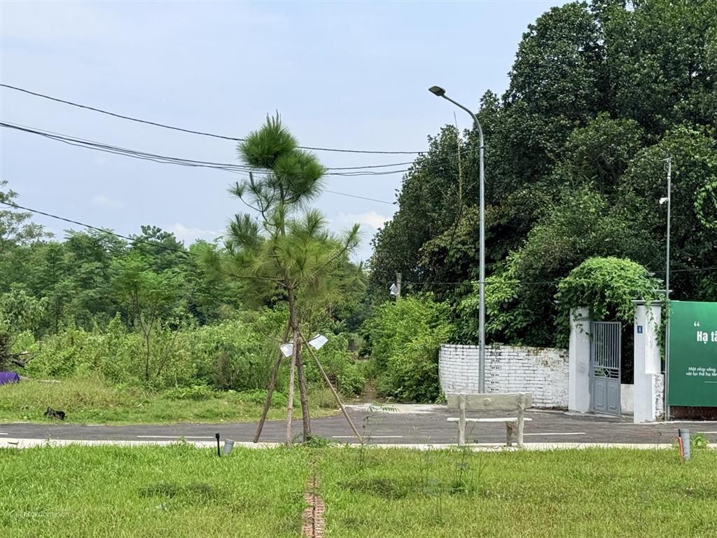 Bán 100m full thổ cư tại trại hồ, đoài phương, hà nội mt 5m, đường ô tô 5m