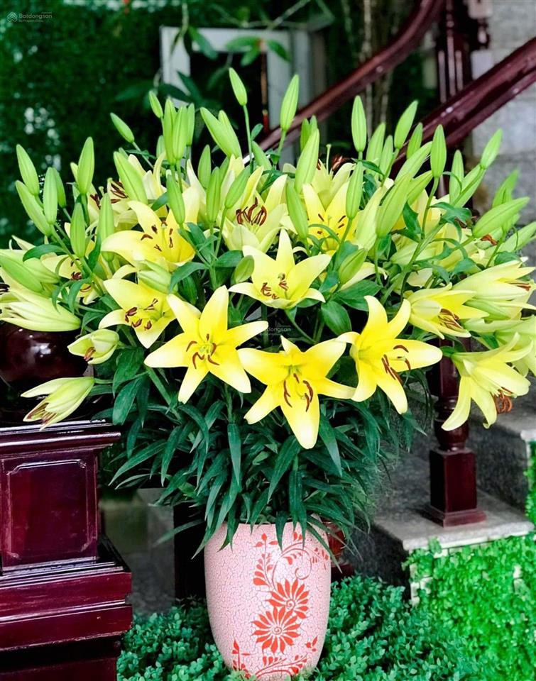 Bán nr tại trường cao đẳng cảnh sát, 8,5 tỷ, 94m², hàng hot