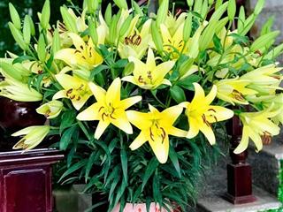 Bán nr tại trường cao đẳng cảnh sát, 8,5 tỷ, 94m², hàng hot