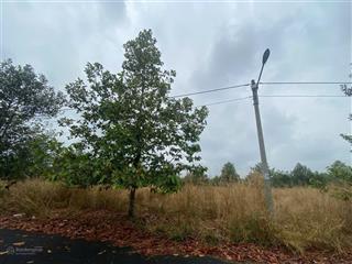 Bán đất p. tiến thành, tp đồng xoài, t. bình phước (nay là phường đồng xoài, tỉnh đồng nai)