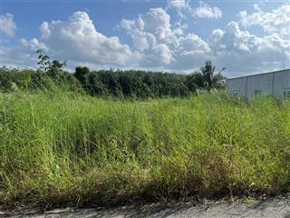 Bán đất tại xã long tân, huyện dầu tiếng, tỉnh bình dương (nay là xã long hòa, tp. hồ chí minh)