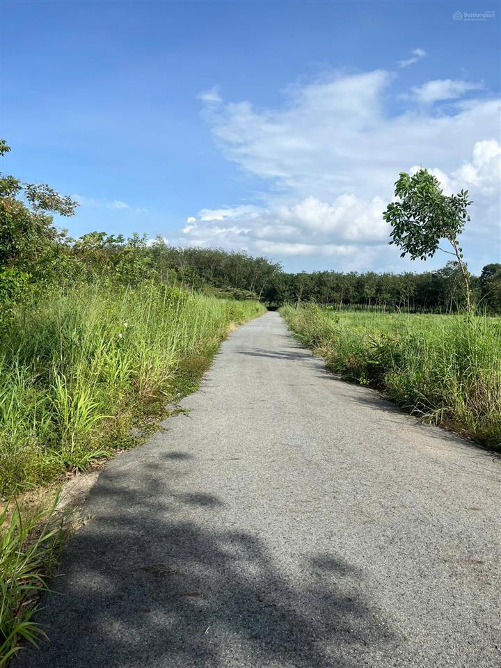 Bán đất tại xã long tân, huyện dầu tiếng, tỉnh bình dương (nay là xã long hòa, tp. hồ chí minh)