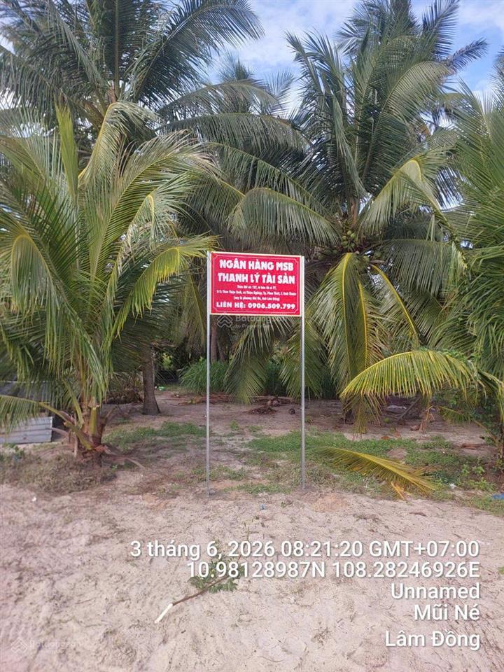 Bán đất tại xã thiện nghiệp, thành phố phan thiết, tỉnh bình thuận