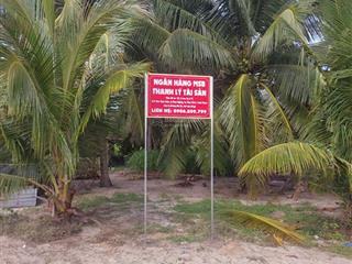 Bán đất tại xã thiện nghiệp, thành phố phan thiết, tỉnh bình thuận