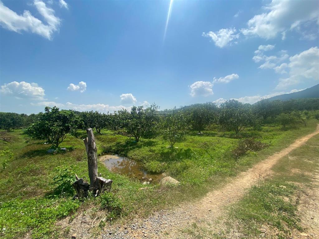Bán đất tại thôn tân hưng, xã ninh hưng, thị xã ninh hòa, tỉnh khánh hòa