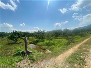 Bán đất tại thôn tân hưng, xã ninh hưng, thị xã ninh hòa, tỉnh khánh hòa