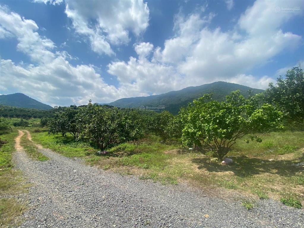 Bán đất tại thôn tân hưng, xã ninh hưng, thị xã ninh hòa, tỉnh khánh hòa