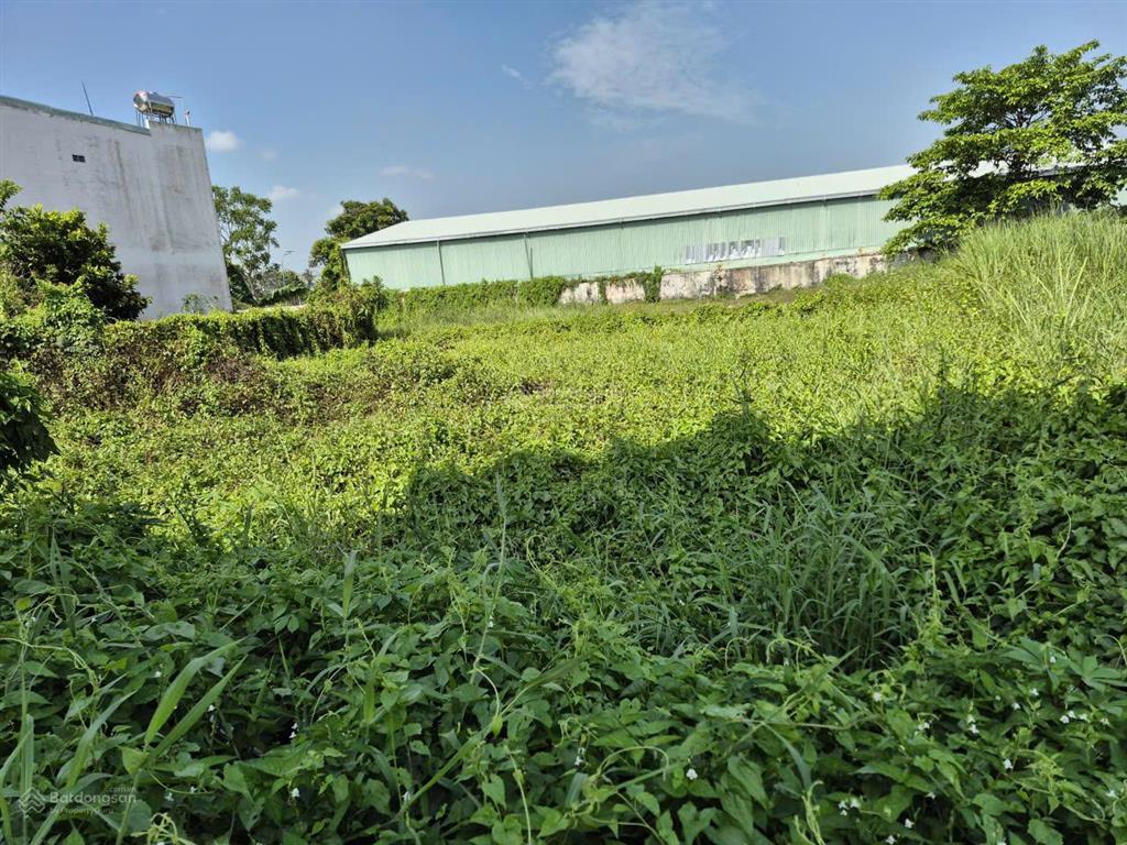 Bán đất tại phường mỹ hòa, thành phố long xuyên (nay là phường long xuyên), tỉnh an giang.