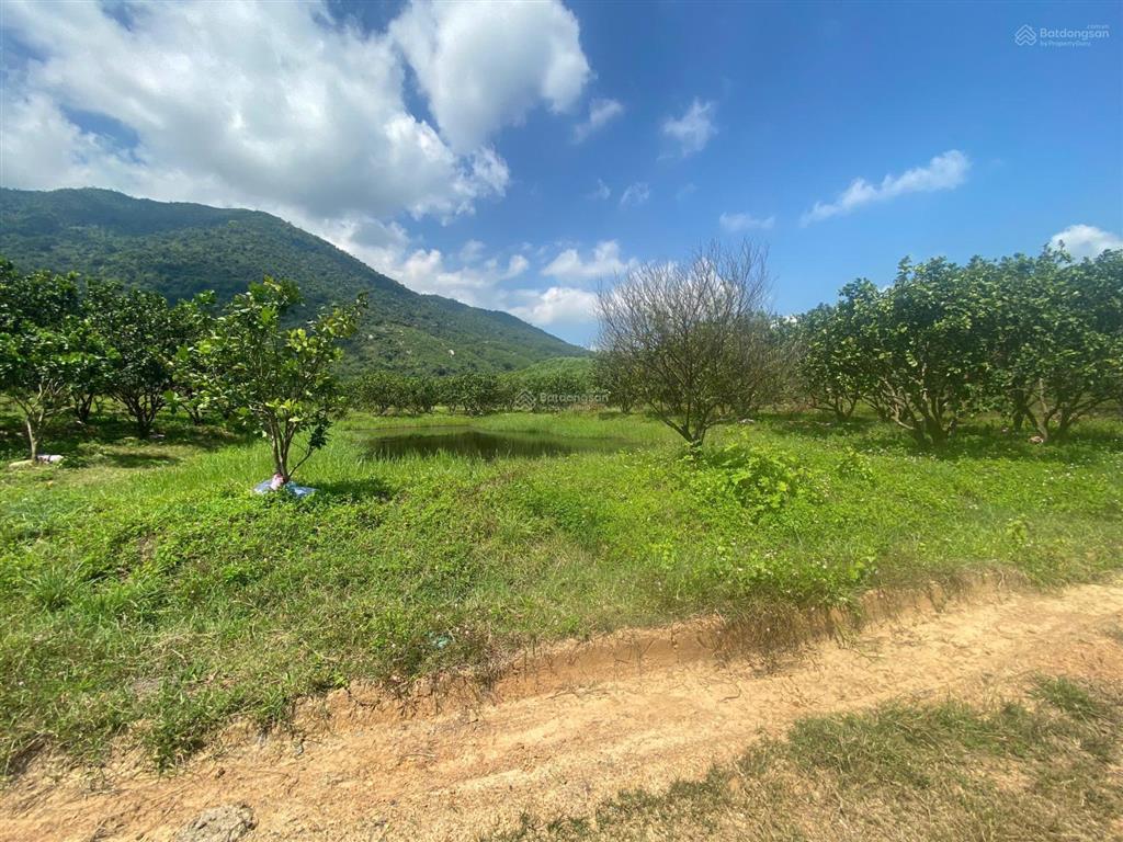 Bán đất tại xã ninh hưng, thị xã ninh hòa (nay là xã nam ninh hòa), tỉnh khánh hòa