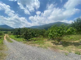 Bán đất tại xã ninh hưng, thị xã ninh hòa (nay là xã nam ninh hòa), tỉnh khánh hòa