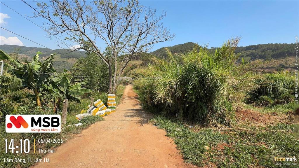 Bán đất xã đông thanh, huyện lâm hà (nay là xã nam ban lâm hà), tỉnh lâm đồng