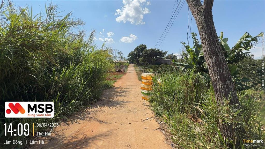 Bán đất xã đông thanh, huyện lâm hà (nay là xã nam ban lâm hà), tỉnh lâm đồng