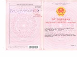 Công ty đấu giá hợp danh sao việt đấu giá tài sản