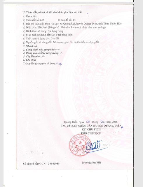 Công ty đấu giá hợp danh sao việt đấu giá tài sản