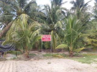 Bán đất tại xã thiện nghiệp, tp phan thiết, tỉnh bình thuận (nay là p mũi né, tỉnh lâm đồng)