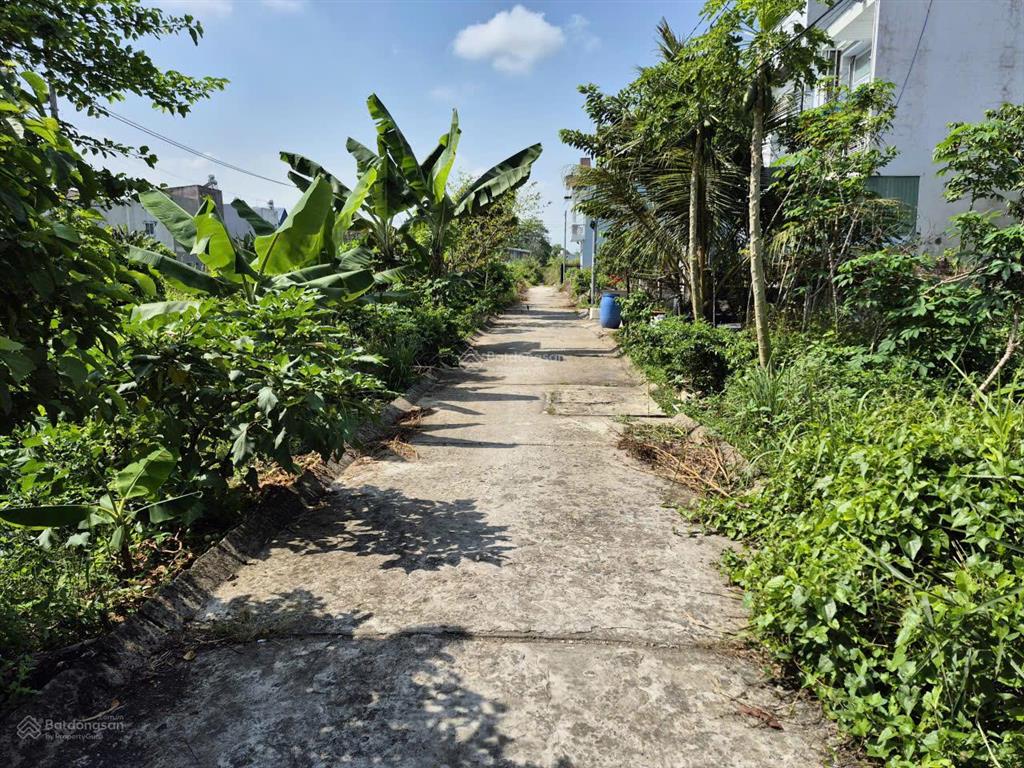 Bán đất tại phường mỹ hòa, tp. long xuyên, tỉnh an giang (nay là phường long xuyên, tỉnh an giang)