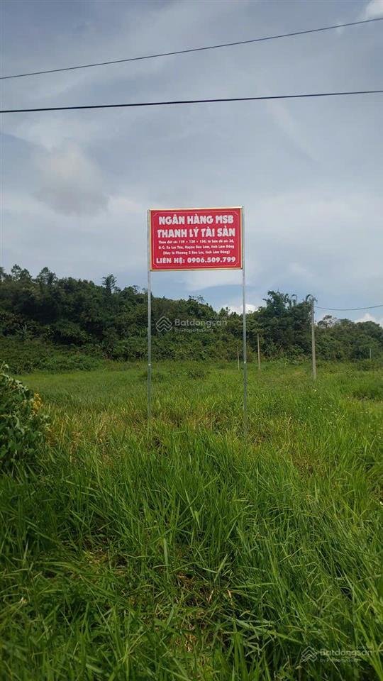 Bán đất tại xã lộc tân, huyện bảo lâm, tỉnh lâm đồng (nay là phường 2 bảo lộc, tỉnh lâm đồng)
