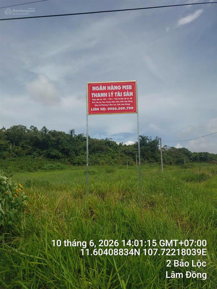 Bán đất tại xã lộc tân, huyện bảo lâm, tỉnh lâm đồng (nay là phường 2 bảo lộc, tỉnh lâm đồng)