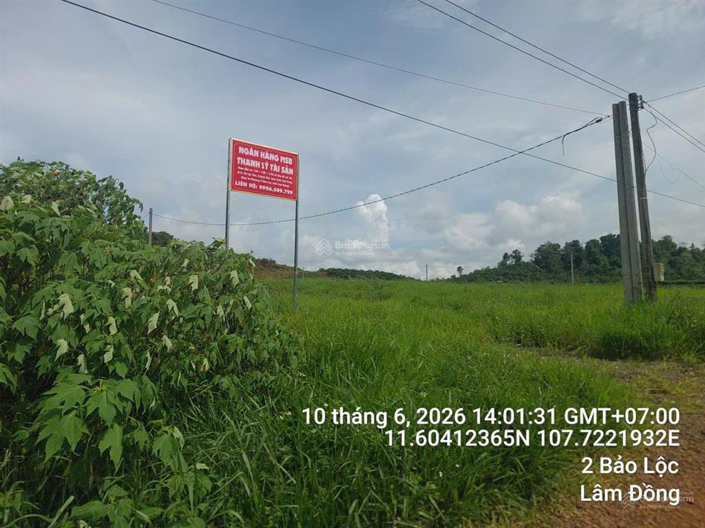 Bán đất tại xã lộc tân, huyện bảo lâm, tỉnh lâm đồng (nay là phường 2 bảo lộc, tỉnh lâm đồng)