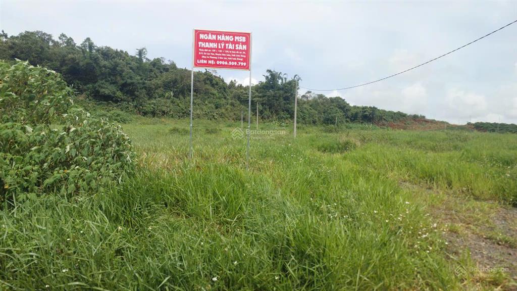 Bán đất tại xã lộc tân, huyện bảo lâm, tỉnh lâm đồng (nay là phường 2 bảo lộc, tỉnh lâm đồng).