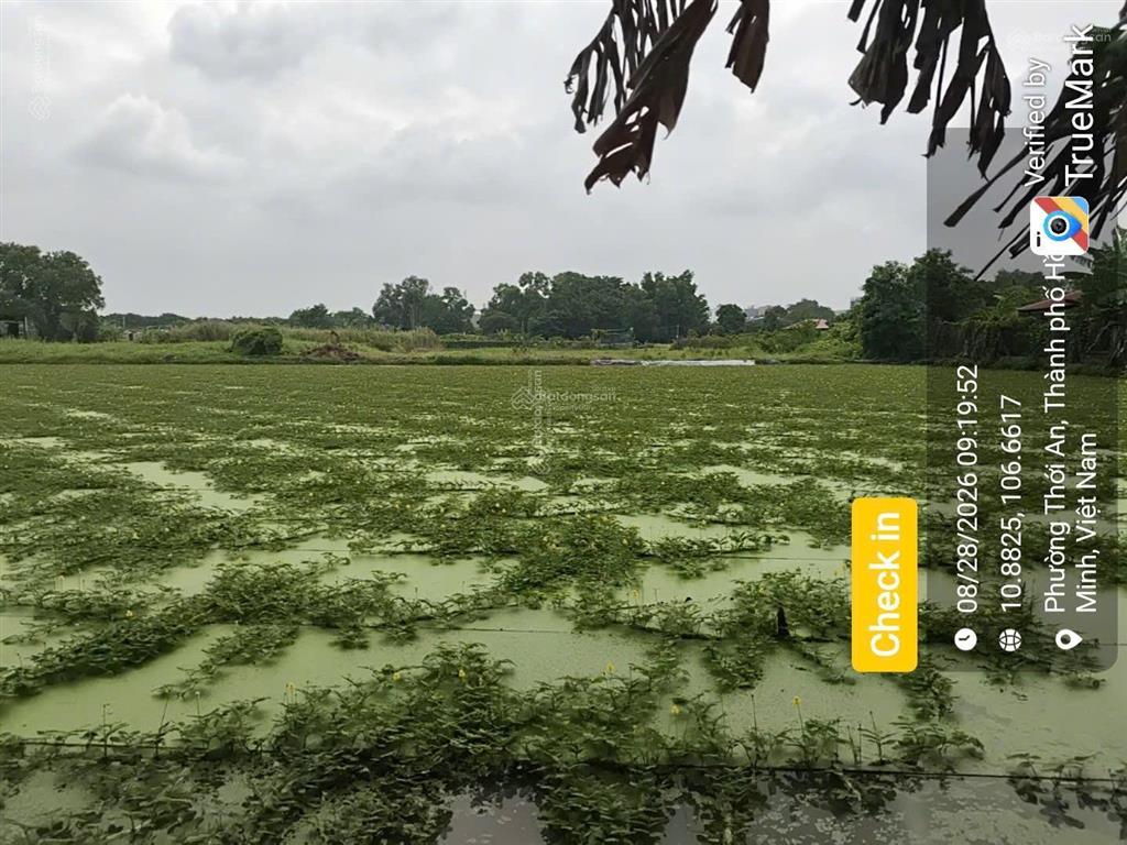 Bán đất tại phường thạnh xuân, quận 12 (nay là phường thới an), tp. hồ chí minh