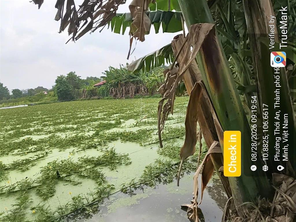 Bán đất tại phường thạnh xuân, quận 12 (nay là phường thới an), tp. hồ chí minh