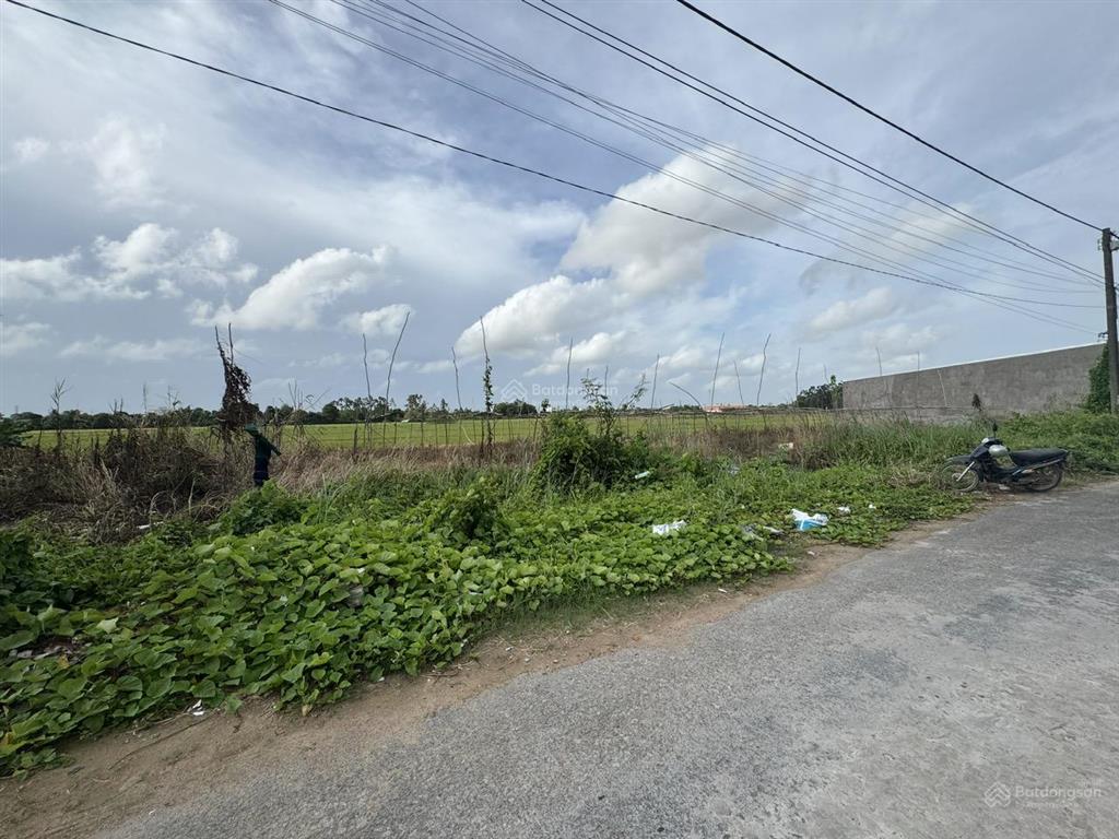 Bán đất tại phường mỹ quý, thành phố long xuyên (nay là phường long xuyên), tỉnh an giang.
