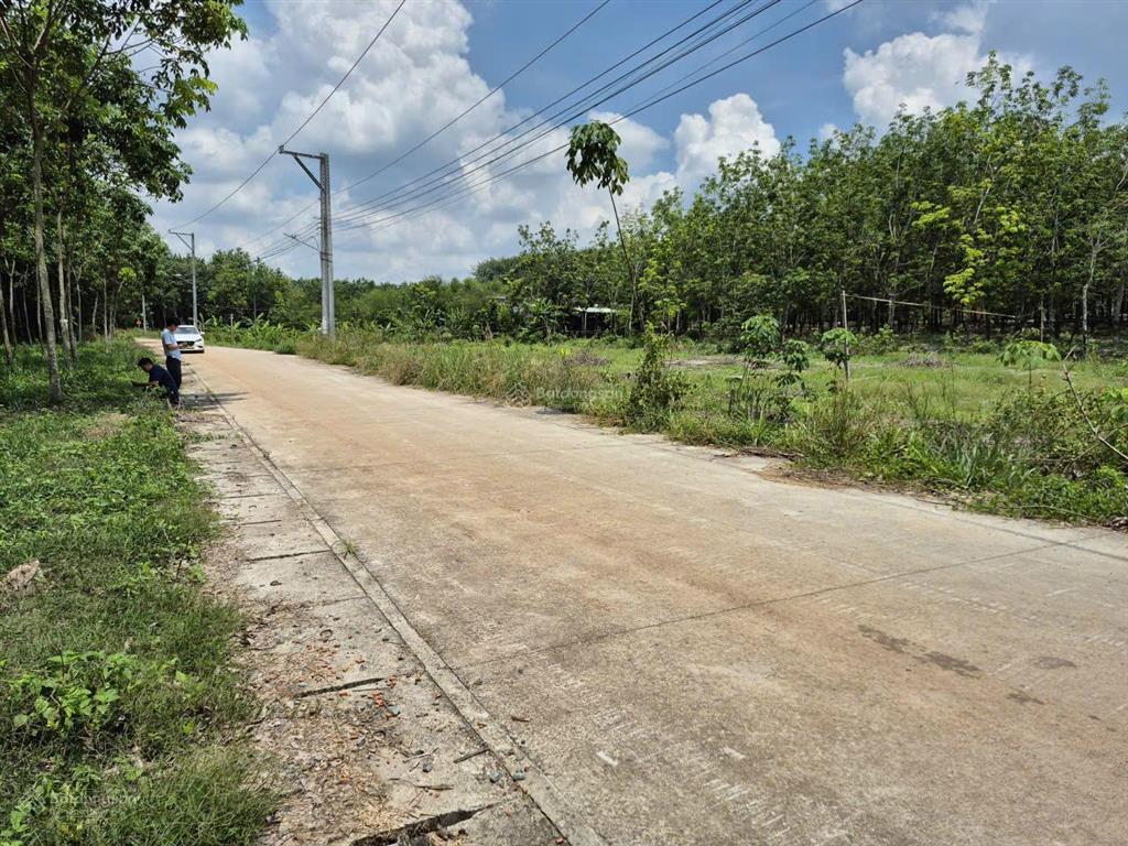 Công ty đấu giá hợp danh sao việt