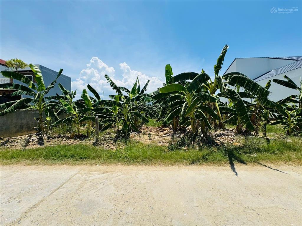 Bán đất hai mặt tiền trước sau đường đầu cầu diên an đường rộng 6.5m mặt sau rộng 4m giá đầu tư