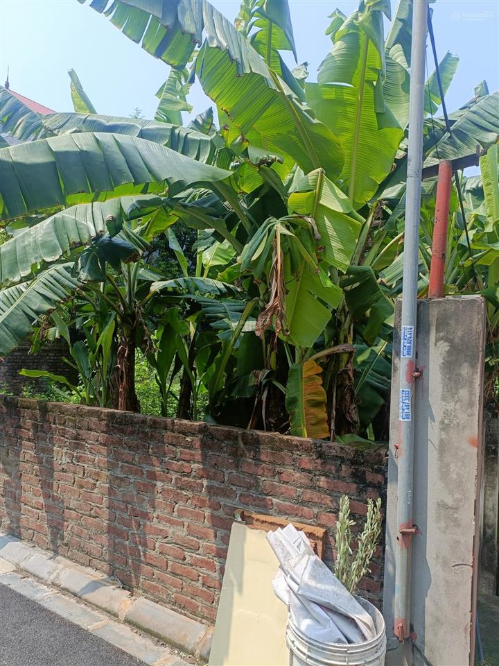 Lô góc võng la 226m² mt gần 9m 10 phút tới hồ tây
