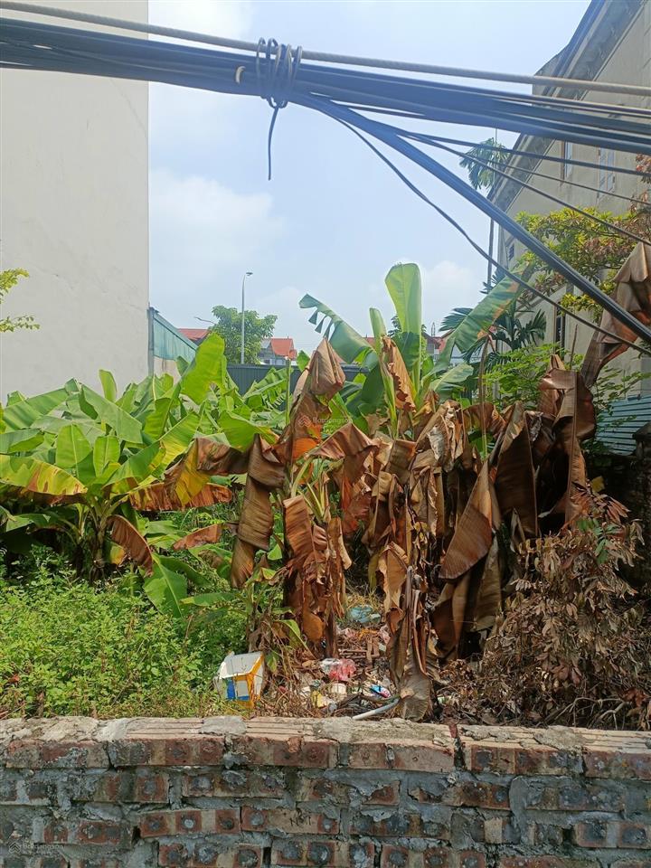Đất võng la  đông anh  mt 8m  152m²  cách hồ tây 15 phút  152m²  mt 8m  giá hơn 19.7 tỷ