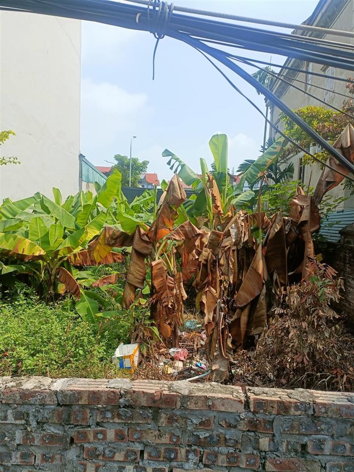 Đất võng la  đông anh  mt 8m  152m²  cách hồ tây 15 phút  152m²  mt 8m  giá hơn 19.7 tỷ
