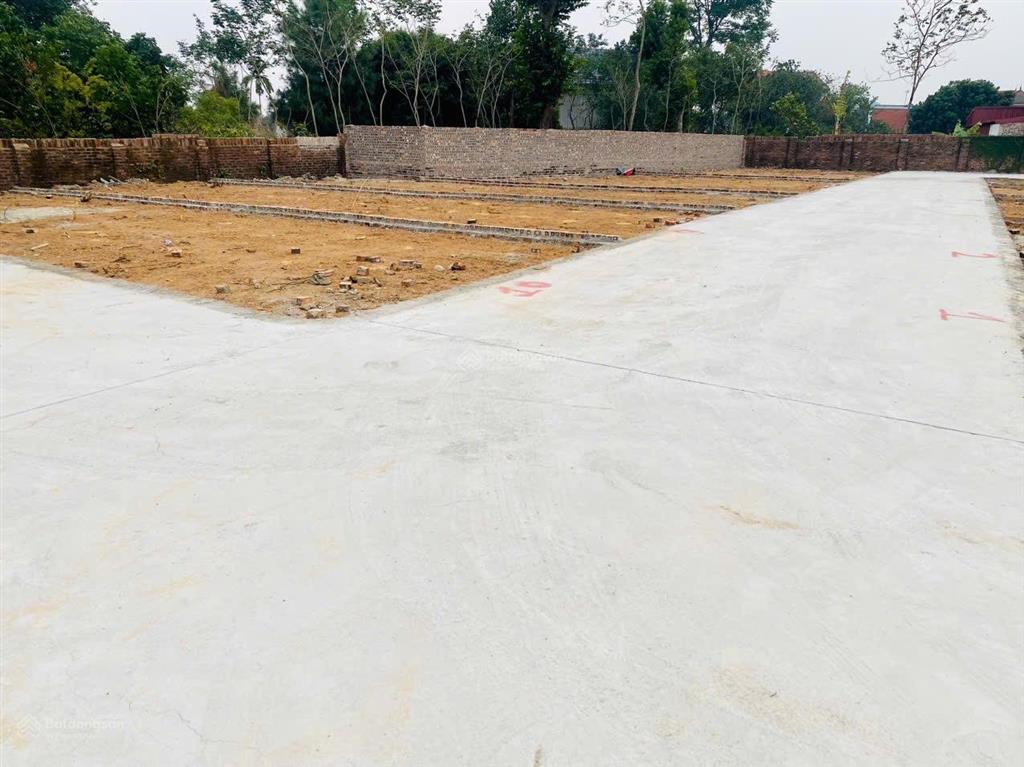 Bán đất tại phù linh, sóc sơn, hà nội, 2,33 tỷ, 100m2